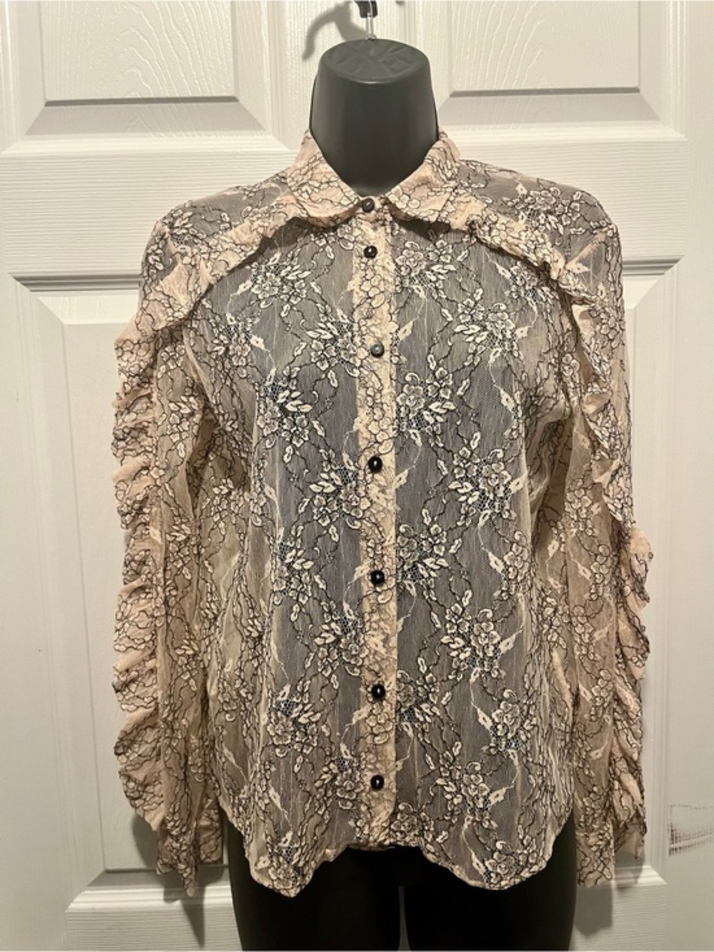 Zara Lace Blouse Sheer Top Pink Medium Women long sleeve Ruffled Floral